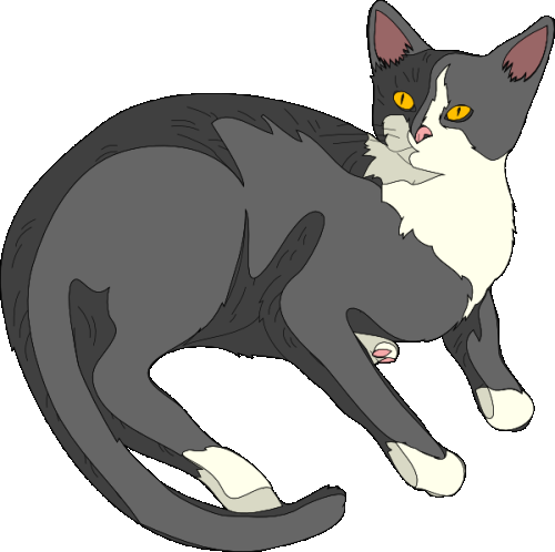 рисунок кота