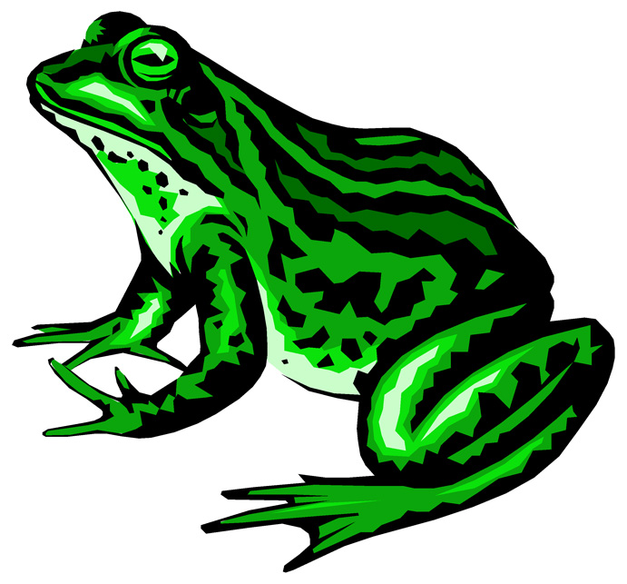 рисунок лягушки