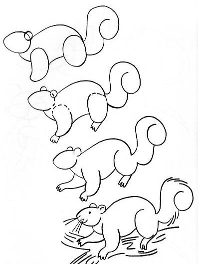 белка 3