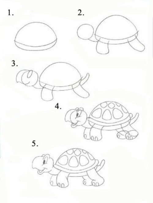 рисуем черепаху