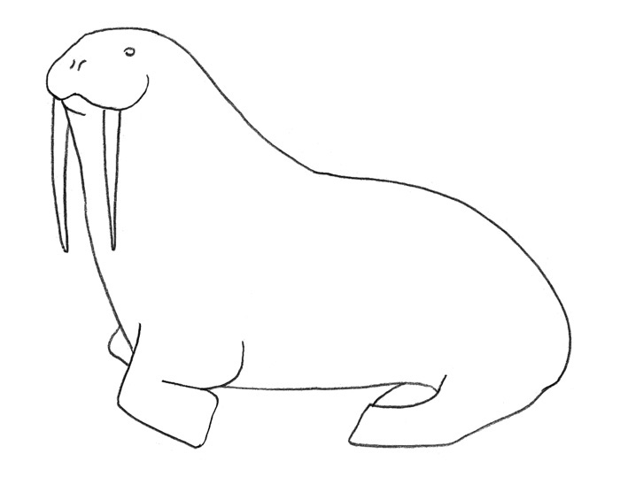 как рисовать моржа