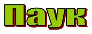 буква п - паук