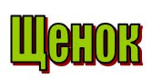 буква щ - щенок