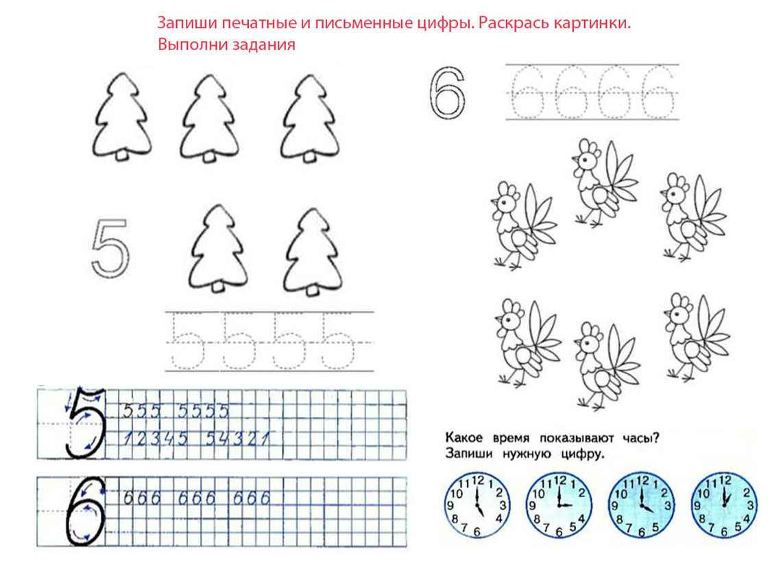 5-6-прописи