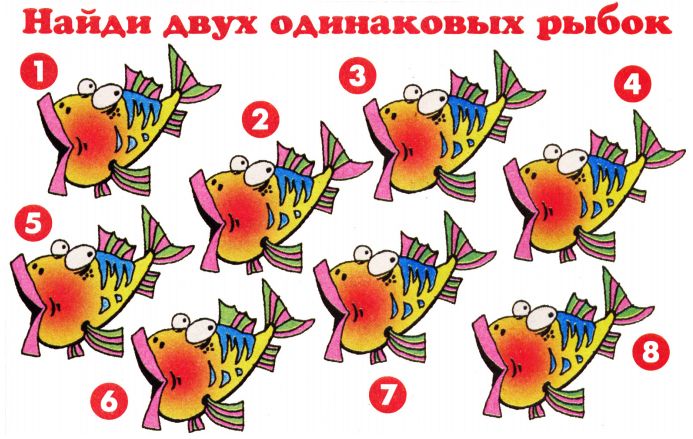 найди двух одинаковых рыбок!