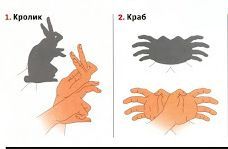 заяц и паук из рук