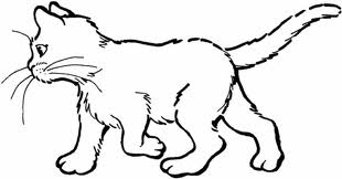 раскраска - кошка