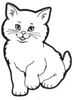 котёнок