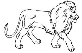лев - раскраска